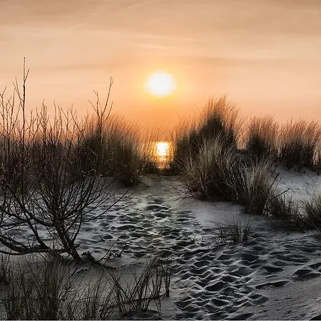 Apartment Valdemosa De Haan