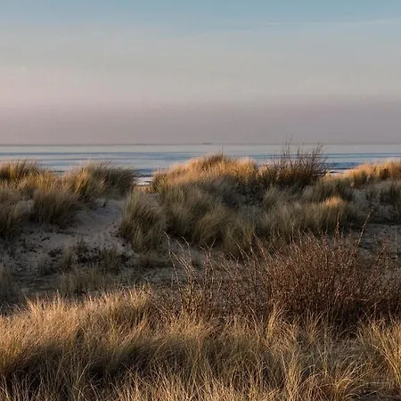 Valdemosa Apartment De Haan