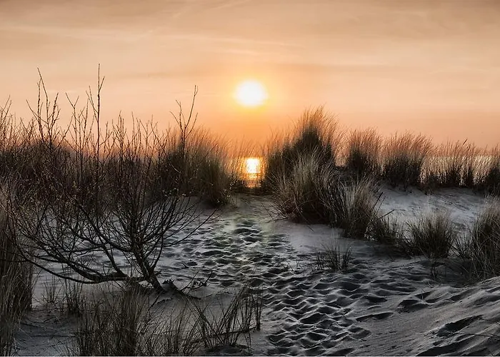 Appartement Valdemosa Le Coq