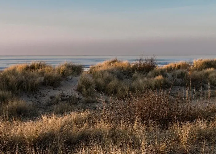 Valdemosa 公寓 德哈恩